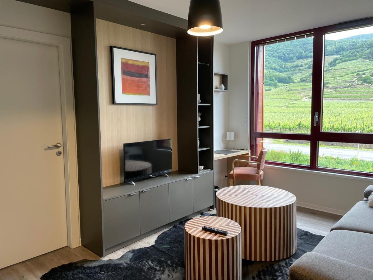 Appartements De Manon Au Coeur Des Vignes Kientzheim Zewnętrze zdjęcie