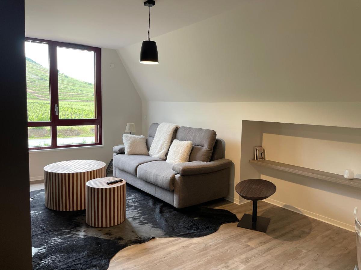 Appartements De Manon Au Coeur Des Vignes Kientzheim Zewnętrze zdjęcie