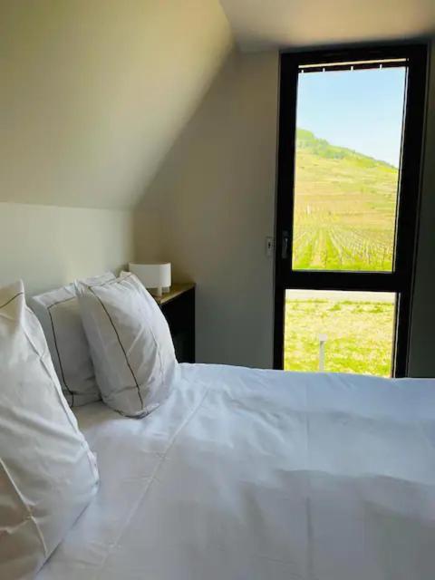 Appartements De Manon Au Coeur Des Vignes Kientzheim Zewnętrze zdjęcie
